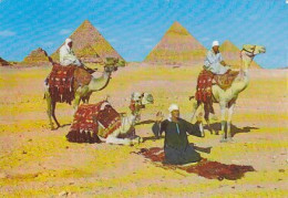 AK 171822 EGYPT - Giza - Arab Camelriders In Front Of The Pyramids - Pyramids