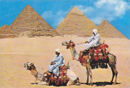 AK 171823 EGYPT - Giza - The Giza  Pyramids Group - Pyramides