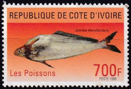 Timbre-poste Gommé Neuf** - Poisson Chat Catfish (Schilbe Mandibularis) - N° 964 (Yvert Et Tellier) - Côte D'Ivoire 1996 - Côte D'Ivoire (1960-...)