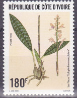 Timbre-poste Gommé Neuf** - Les Fleurs Orchidées Eulophidium Maculatum - N° 967 (Yvert Et Tellier) - Côte D'Ivoire 1996 - Côte D'Ivoire (1960-...)