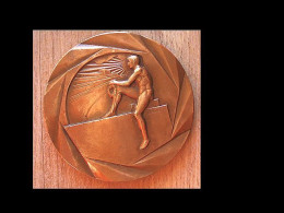 D3-627 Médaille Bronze Gravée Fraise,au Dos H.Dubois.avec Sculpture Végétale,diamètre=50mm,pds=71,80g - Autres & Non Classés