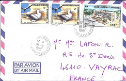 Nlle CALEDONIE N° PA175/399x2 S/L. DE KOUMAC/18.2.81 POUR LA FRANCE - Cartas & Documentos
