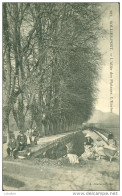 83 - Sollies-Pont - L'Allée Des Platanes - L'Enclos - Lavandières - Sollies Pont