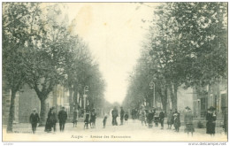 83 - Aups, Avenue Des Marronniers - Aups
