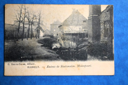 Hasselt: Ruines De Stadsmolen. Molenpoort - Hasselt