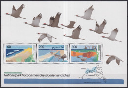F-EX43865 GERMANY MNH 1996 POMERANIA NATIONAL PARK CRANES GEESE BIRD AVES PAJAROS.  - Swans