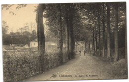 Linkebeek - Le Drève Du Château - Linkebeek