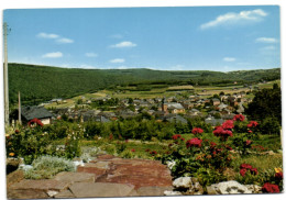 Alle Sur Semois - Panorama - Vresse-sur-Semois