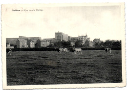 Gedinne - Vue Vers Le Collège - Gedinne