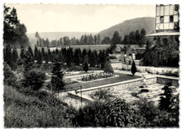 Amonines - Hostellerie Du Vieux Moulin - Erezée