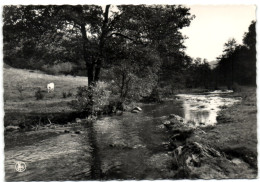 Bourseigne Neuve - La Houille Près Du Moulin - Gedinne