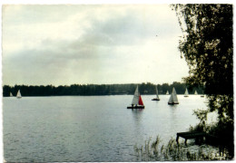 Rijksdomein Te Hofstade - Zemst