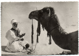 Collection Saharienne - L'Homme Pire La Bête Médite - Sahara Occidental