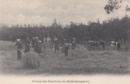 Heide-Calmpthout - Alumnat Des Bénédictins - Kalmthout