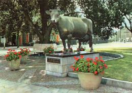 CPM - K - HOLLANDE - PAYS BAS - NEDERLAND - FRISE - FRIESLAND - LEEUWARDEN - MONUMENT FRIES RUNDVEE STAMBOCK - Leeuwarden