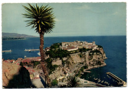 Principauté De Monaco - Le Rocher De Monaco Vu Du Jardin Exotique - Giardino Esotico