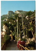 Principauté De Monaco - Le Jardin Exotique - Jardín Exótico