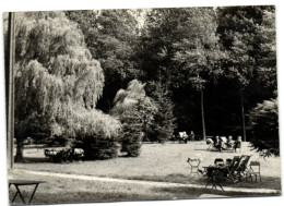 Chaumont-Gistoux - Parc Acacias - Chaumont-Gistoux