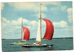 Bateaux Voile - Voiliers