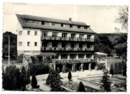 Amonines - Hostellerie Du Vieux Moulin - Erezée