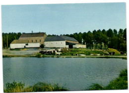 Horrues - Etang De La Ferme De L'Eclatière - Soignies