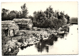 Saint-Joachim - Vue Sur La Grande Brière - Saint-Joachim