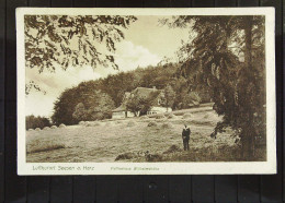 Delcampe - DR: AK Vom Luftkurort Seesen A. Harz Mit Kaffeehaus Wilhelmshöhe Vom 16.08.1926 -BM Abgelöst - Seesen
