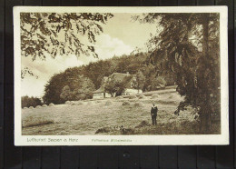 DR: AK Vom Luftkurort Seesen A. Harz Mit Kaffeehaus Wilhelmshöhe Vom 16.08.1926 -BM Abgelöst - Seesen