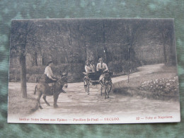 EECLOO - INST. ND AUX EPINES - PAVILLION ST. PAUL - TOBY ET NAPOLEON 1919 - Eeklo