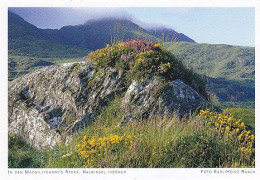 AK 172004 IRELAND - Halbinsel Iveragh - In Den Macgillycuddy's Reeks - Kerry