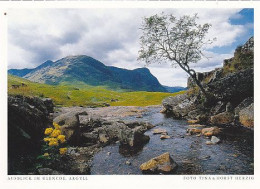 AK 172034 SCOTLAND - Ausblick Im Glencoe - Argyllshire