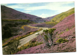 The Slochd Pass - Inverness-shire - Inverness-shire