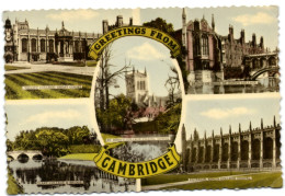 Greeting From Cambridge - Cambridge