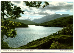 Evening On The Lakes Of Killarney - Co. Kerry - Ireland - Kerry