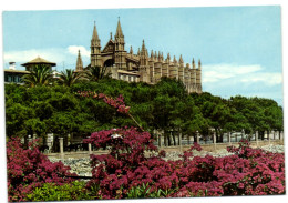 Mallorca - Palma - La Catedral Desde El Desembarcadero - Palma De Mallorca