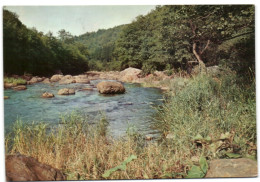 L'Amblève - Rivière La Merveilleuse - Ambleve - Amel