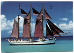 St. Croix - Virgin Islands - The Elinor A Staely Three-masted Schooner - Jungferninseln, Amerik.