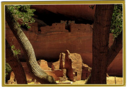 Whitehouse Ruin In Canyon De Chelly National Monument - Arizona - Grand Canyon