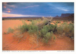 AK 172063 USA - Arizona - Monument Valley Im Navajo-Stammesgebiet - Altri & Non Classificati