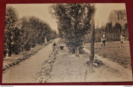 BRUXELLES - WOLUWE St LAMBERT  - Institut Royal Pour Sourds-Muets Et Aveugles - Jardin Potager  - - Gesundheit, Krankenhäuser