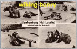 Senftenberg - S/w Bärenzwinger Im Stadtpark - Niederlausitz - Senftenberg