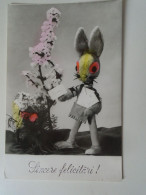 D198908   Postcard - Romania - Handcolored Photo Postcard - Easter -Rabbit Postman - Stamp  Truck  ROMAN 1979 - Andere & Zonder Classificatie