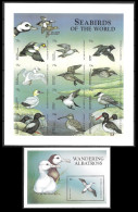 Antigua & Barbuda Oiseaux Sterne Mouette Albatros Non Dentelés Birds Terns Imperfs Proofs Vögel Aves Uccello **1998 180€ - Marine Web-footed Birds