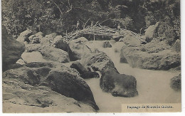 GUINEE FRANCAISE ( Afrique Occidentale Francaise ) - NOUVELLE GUINEE - Paysage ( Passerelle ) - Guinée Française