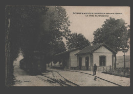 Donnemarie-en-Montois - La Gare Du Tramway - Trein/train/Zug - Donnemarie Dontilly