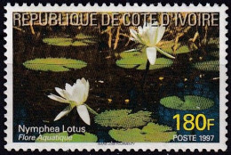 Timbre-poste Gommé Dentelé Neuf** - Flore Aquatique Lotus Blanc (Nymphea Lotus) - N° 977 (Yvert) - Côte D'Ivoire 1997 - Côte D'Ivoire (1960-...)