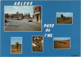 Arleux - Pays De L'Ail - & Old Cars - Arleux