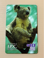 Mint USA UNITED STATES America Prepaid Telecard Phonecard, Compliments Of I.P.C. BELGIUM- Koala Bear, Set Of 1 Mint Card - Verzamelingen