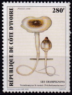 T.-P. Gommé Dentelé Neuf** - Les Champignons Termitomyces Letestui (Tricholomataceae) - N° 1001 (Yvert) - RCI 1998 - Côte D'Ivoire (1960-...)