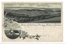 31449 -  Blick St.Anton Auf Oberegg Heiden Und Bodensee 1903 - Oberegg